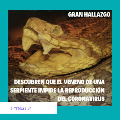 1_20210828_161618_0000